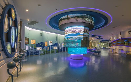 手机便捷购长兴景区门票，官方活动享好礼，贴心代订服务全攻略